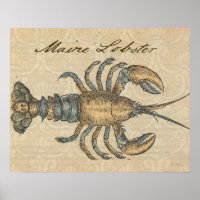 Lobster Illustration Antique Maine Seafood