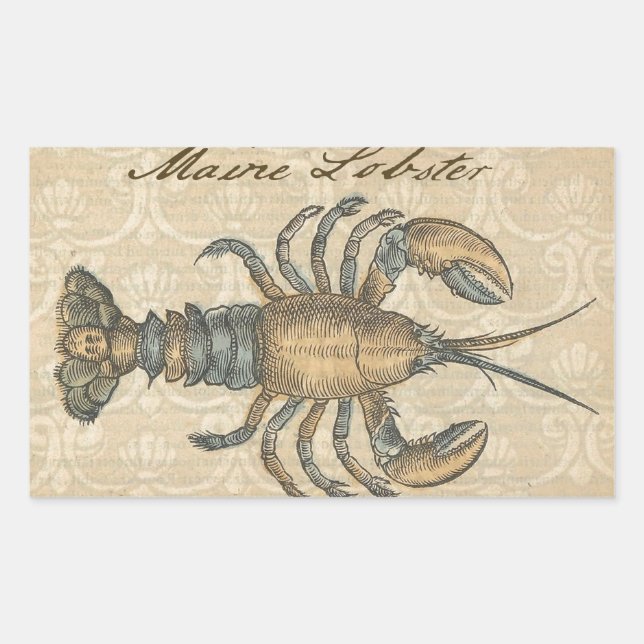 Lobster Illustration Antique Maine Seafood Rectangular Sticker (Front)