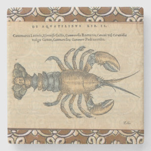 Lobster Illustration Antique Maine Seafood Stone Coaster