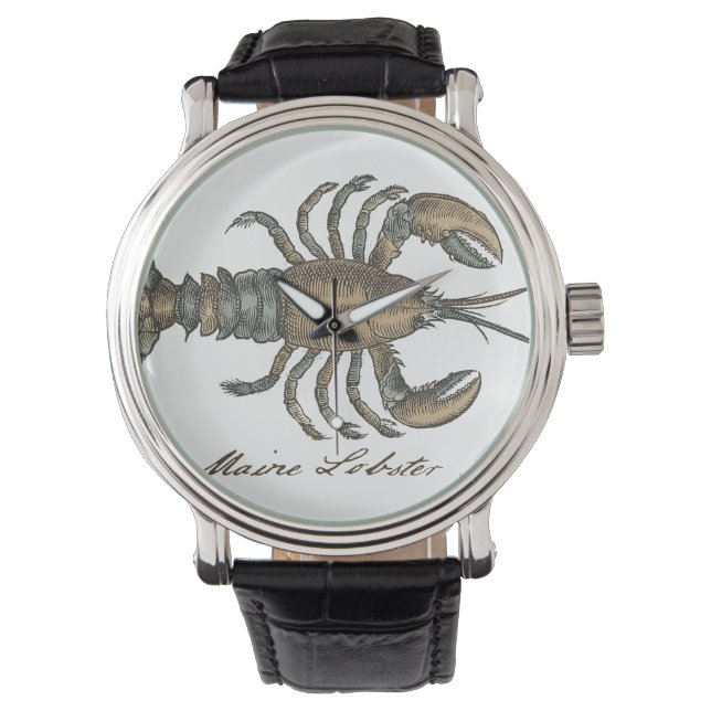 Lobster Illustration Antique Maine Seafood Watch (Front)