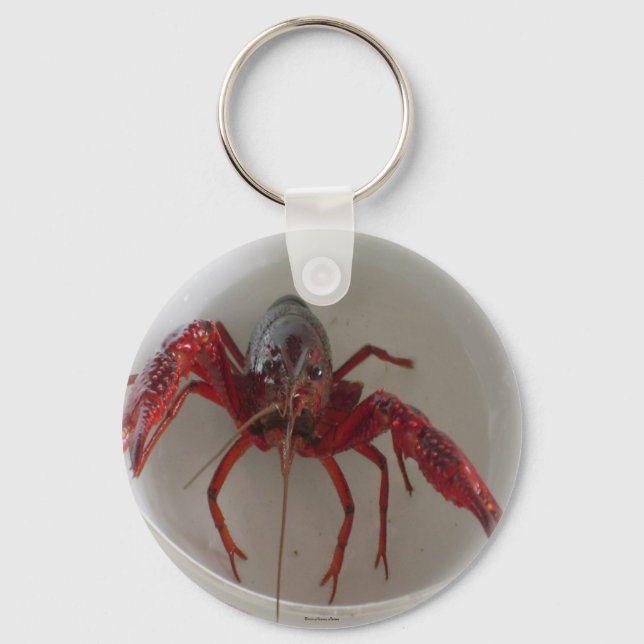 Lobster Keychain (Front)
