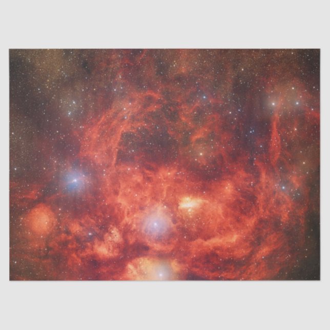 Lobster Nebula Tissue Paper (Front)
