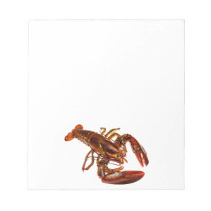 Lobster Notepad