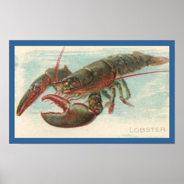 Lobster Poster (Front)