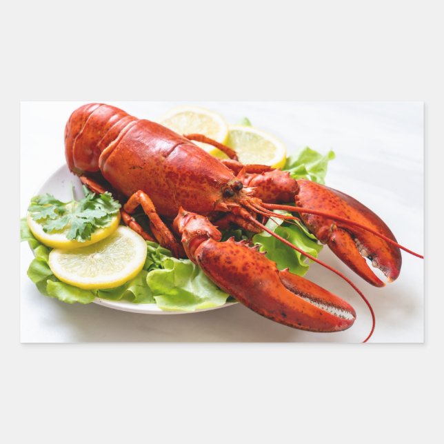 Lobster Rectangular Sticker (Front)