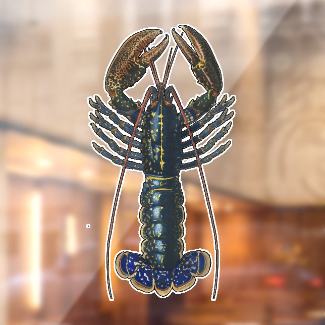 Lobster Shellfish Seafood Maine Classic Ocean (Sheet 2)