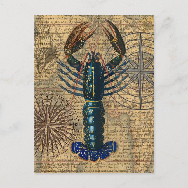 Lobster Shellfish Seafood Maine Classic Ocean Postcard (Front)