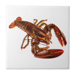Lobster Tile