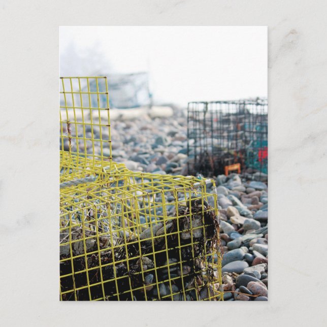 Lobster Traps on Rocky Beach Postcard (Front)