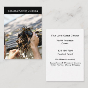 Local Home Gutter Cleaning Services Business Card