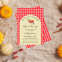 Locally Grown Modern Red Gingham Baby Shower
