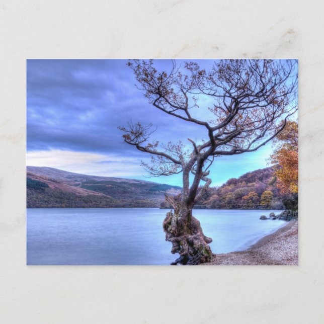 Loch Lomond, Scotland Postcard (Front)