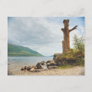 Loch Lomond, Scotland Postcard