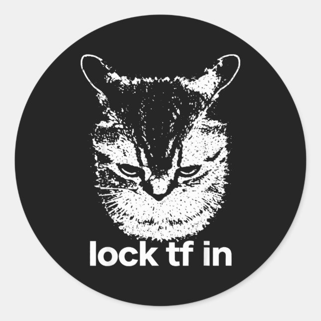 Lock tf in cat focus mindset meme style  classic round sticker (Front)