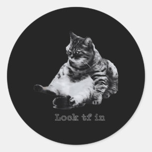 Lock TF in Cool Cat Classic Round Sticker