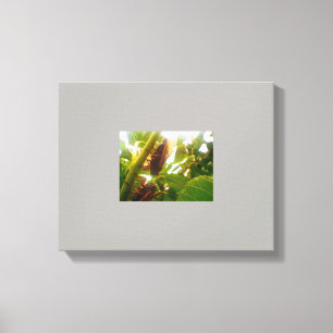 Locust Country Canvas Picture Print