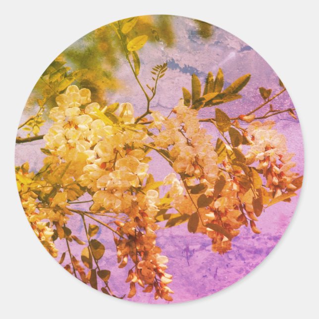Locust Flower Blossoms Art Classic Round Sticker (Front)
