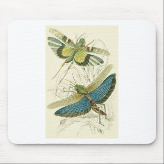 Locusta Cristata (lower), Locusta flava (upper) Mouse Pad