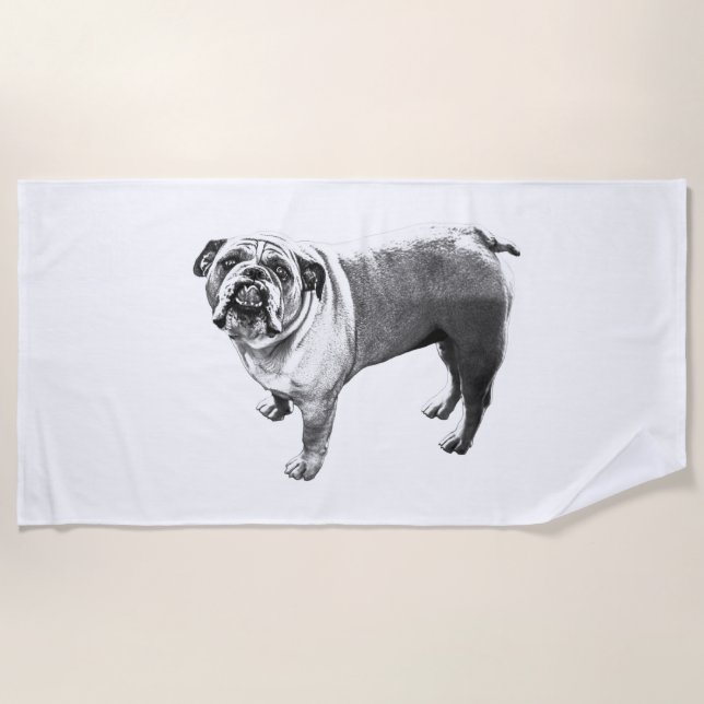 Lodge Pool Companion Beach Towel (Front)