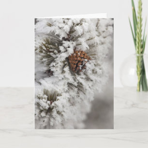 Lodgepole Pine cone in winter in Yellowstone Holiday Card
