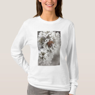 Lodgepole Pine cone in winter in Yellowstone T-Shirt