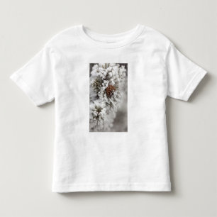 Lodgepole Pine cone in winter in Yellowstone Toddler T-Shirt