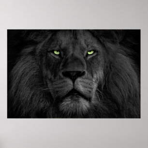 L'œil du lion poster