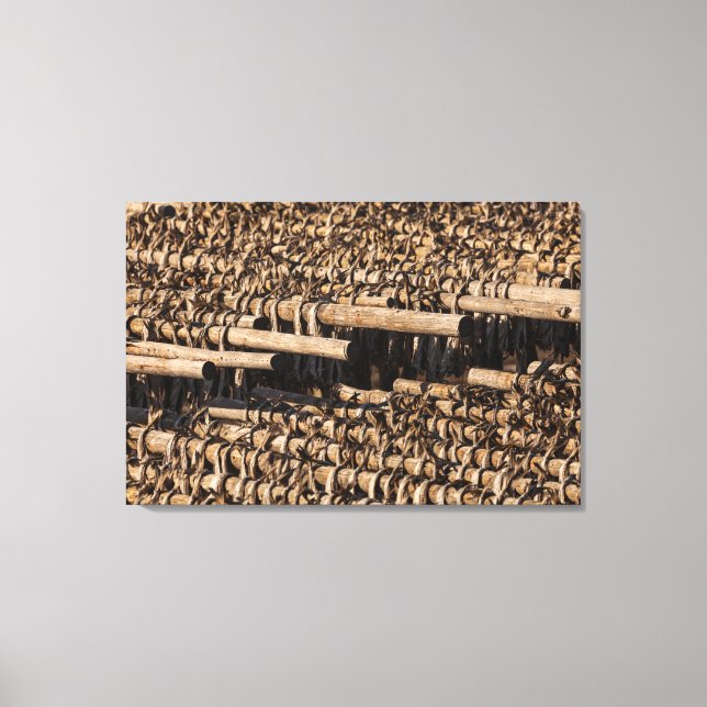 Lofoten Islands Stockfish Photo Canvas Print (Front)