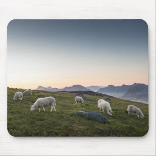 Lofoten Sheep Mouse Pad