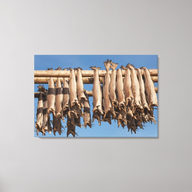 Lofoten Stockfish Canvas Print (Front)