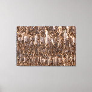 Lofoten Stockfish Canvas Print