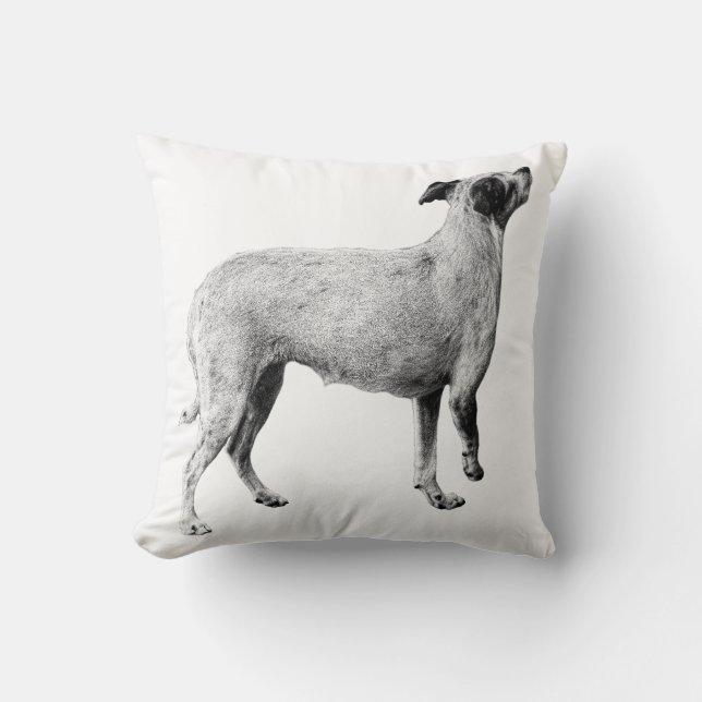 Loft Calm—Upright Friend Cushion (Front)