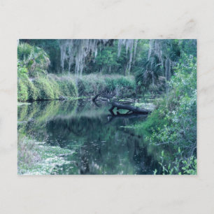 Log in River Postcard