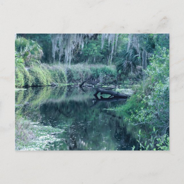 Log in River Postcard (Front)