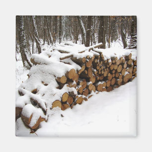Log Pile in the Woods Magnet