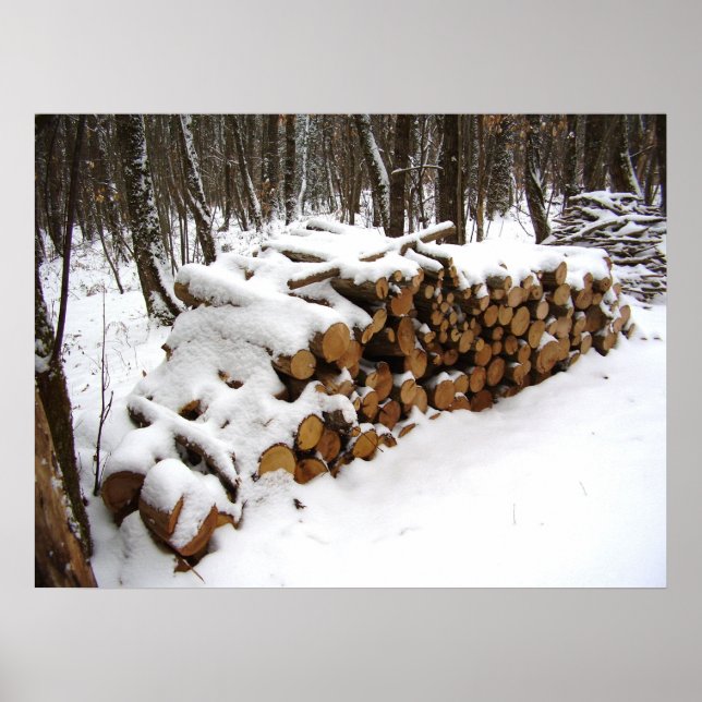 Log Pile in the Woods Poster (Front)