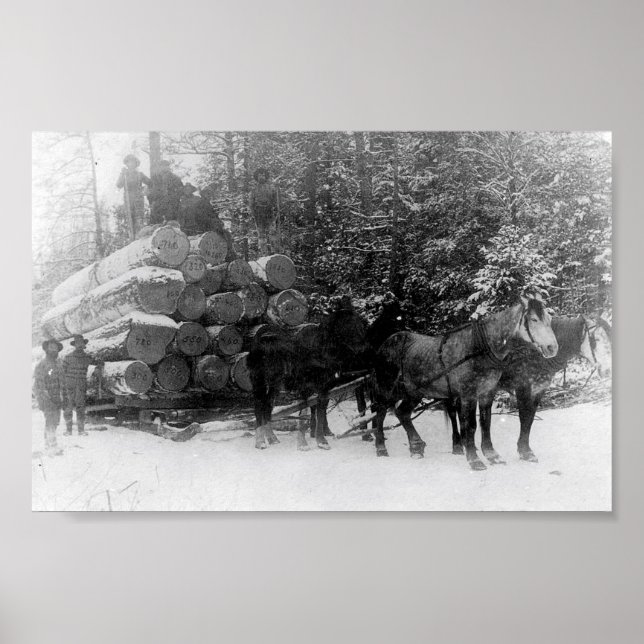 Log sled poster (Front)