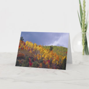 Logan Canyon in Utah in autumn with passing Card