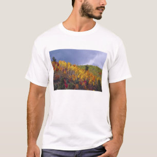 Logan Canyon in Utah in autumn with passing T-Shirt