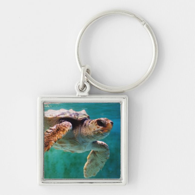 Loggerhead #2 Keychain (Front)