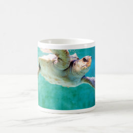 Loggerhead #3 Mug