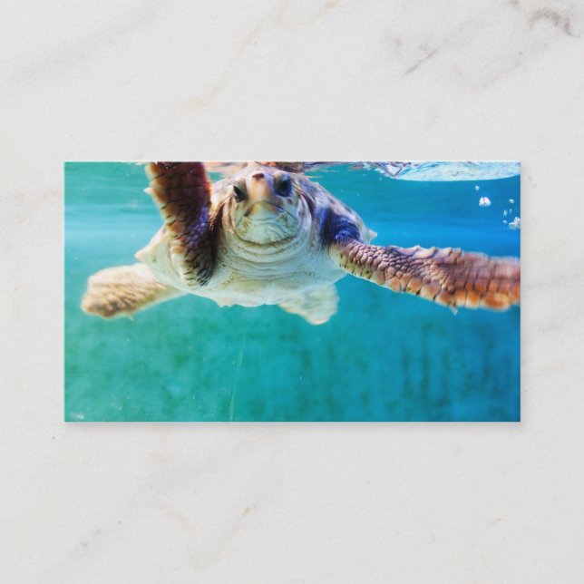 Loggerhead #4 Mini Print Business Card (Front)