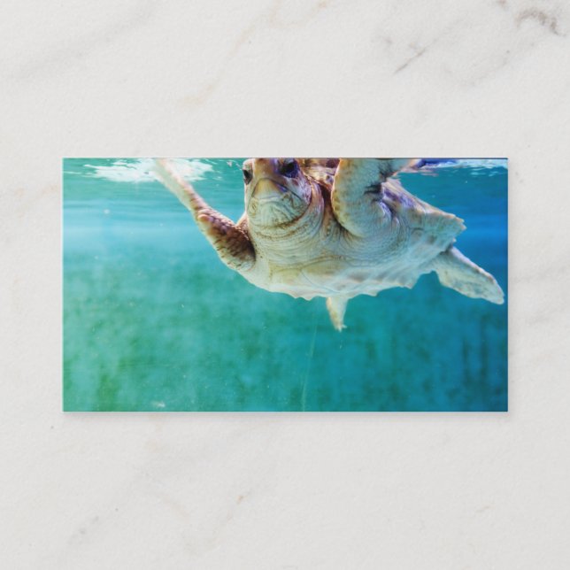 Loggerhead #5 Mini Print Business Card (Front)