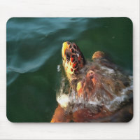 Loggerhead Sea Turtle Artistic Portrait