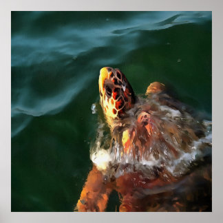 Loggerhead Sea Turtle Artistic Portrait Poster