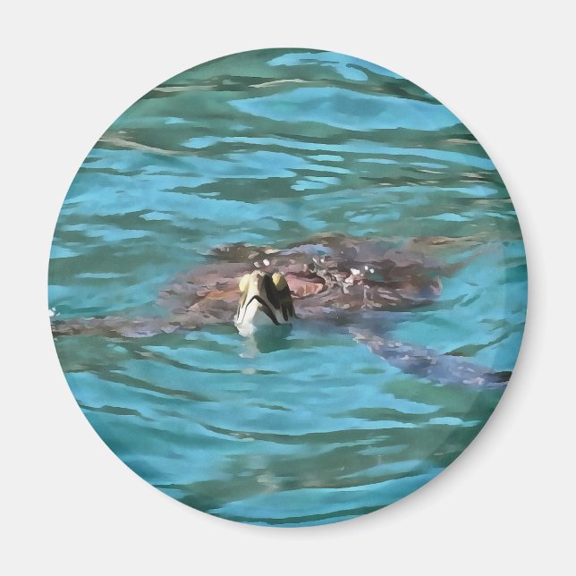 Loggerhead Sea Turtle Magnet (Front)