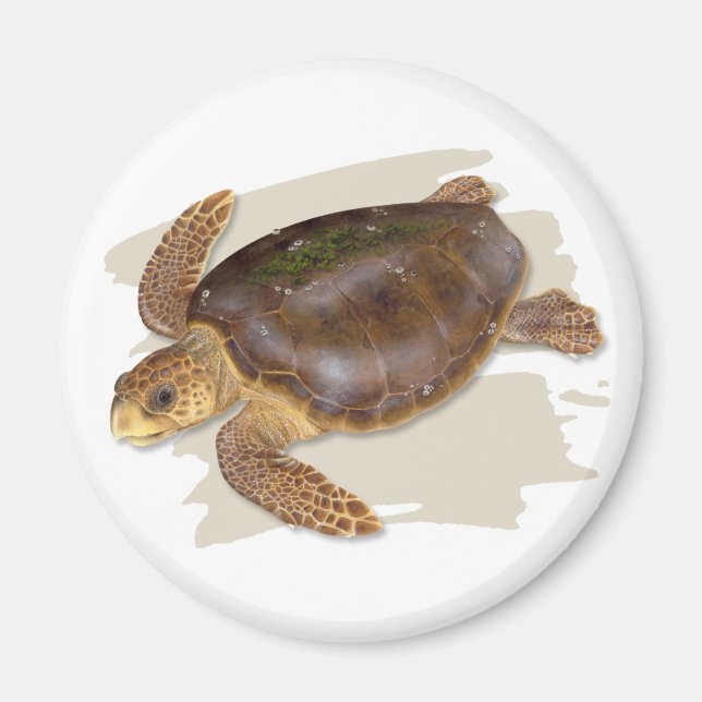 Loggerhead Sea Turtle Magnet (Front)
