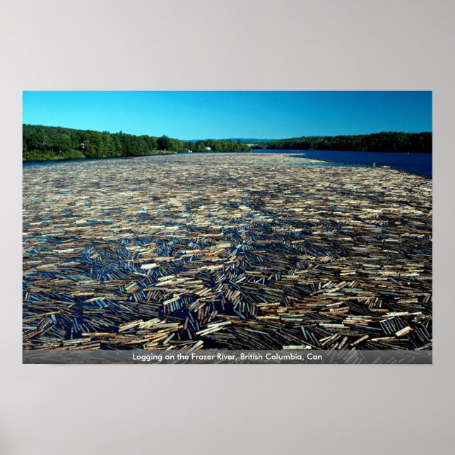 Logging on the Fraser River, British Columbia, Can Poster (Front)