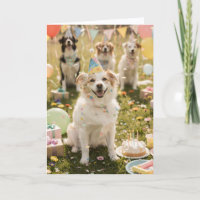 Logo Fun Cute Puppy Dog Corporate Birthday
