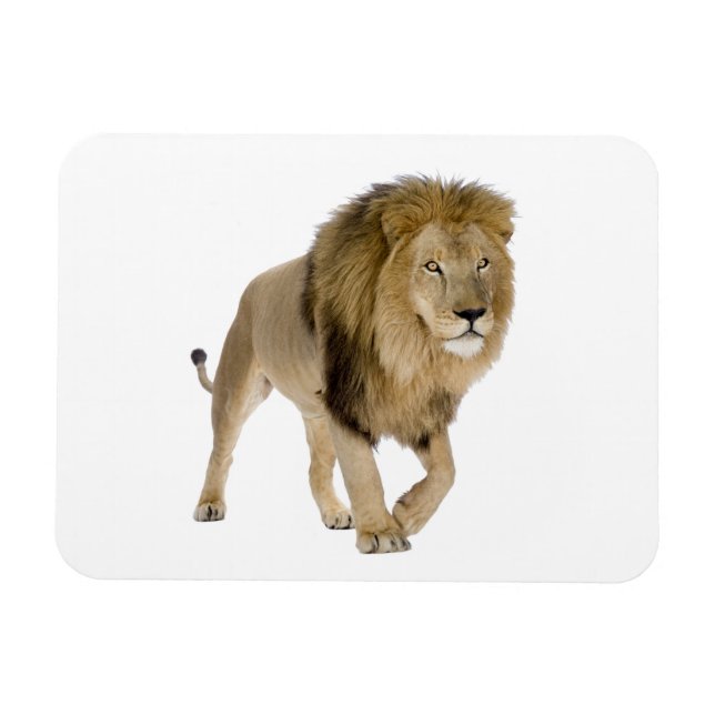 Loin image for Photo Magnet (Horizontal)